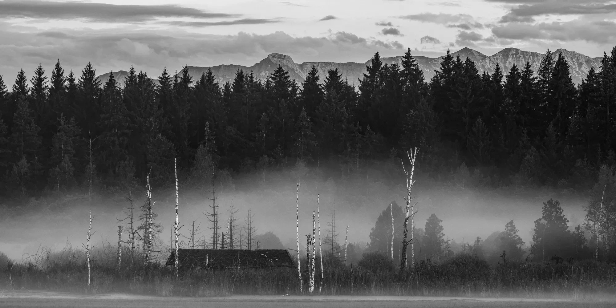 Camera; Canon EOS 5D Mark lV
Lens; Canon EF 24-70mm 2.8L
Location: Oberbayern, Germany 