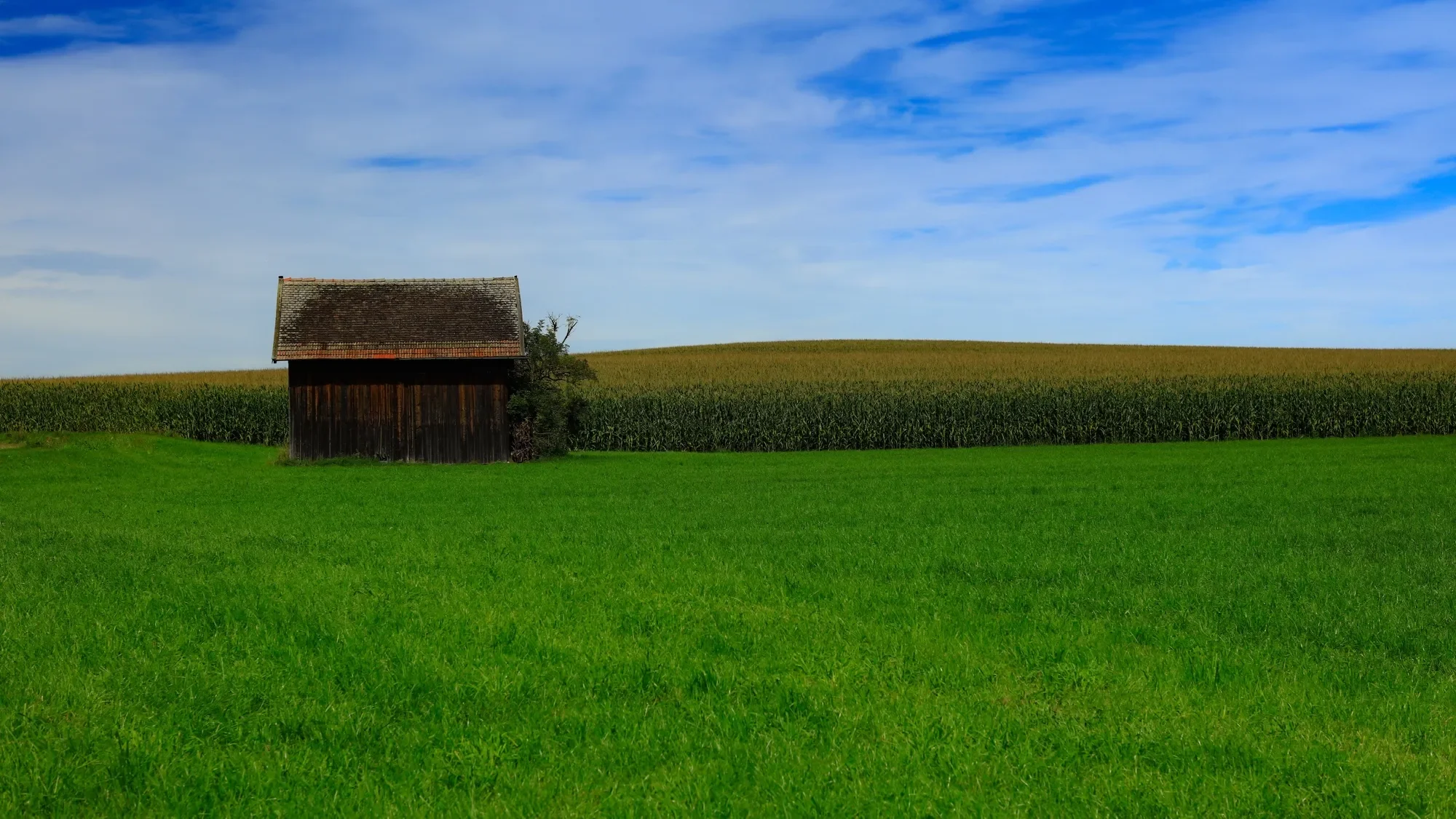 The air is turning,
Summer loosens it’s hold, autumn leans in a whisper of smoke,
a shimmer of gold.

Fields breathe in silence,
shadows stretch long,
light bends like brushstrokes,
half ending, half beginning.

It is the hour between,
where change glows bright 
departure and arrival are woven in light.