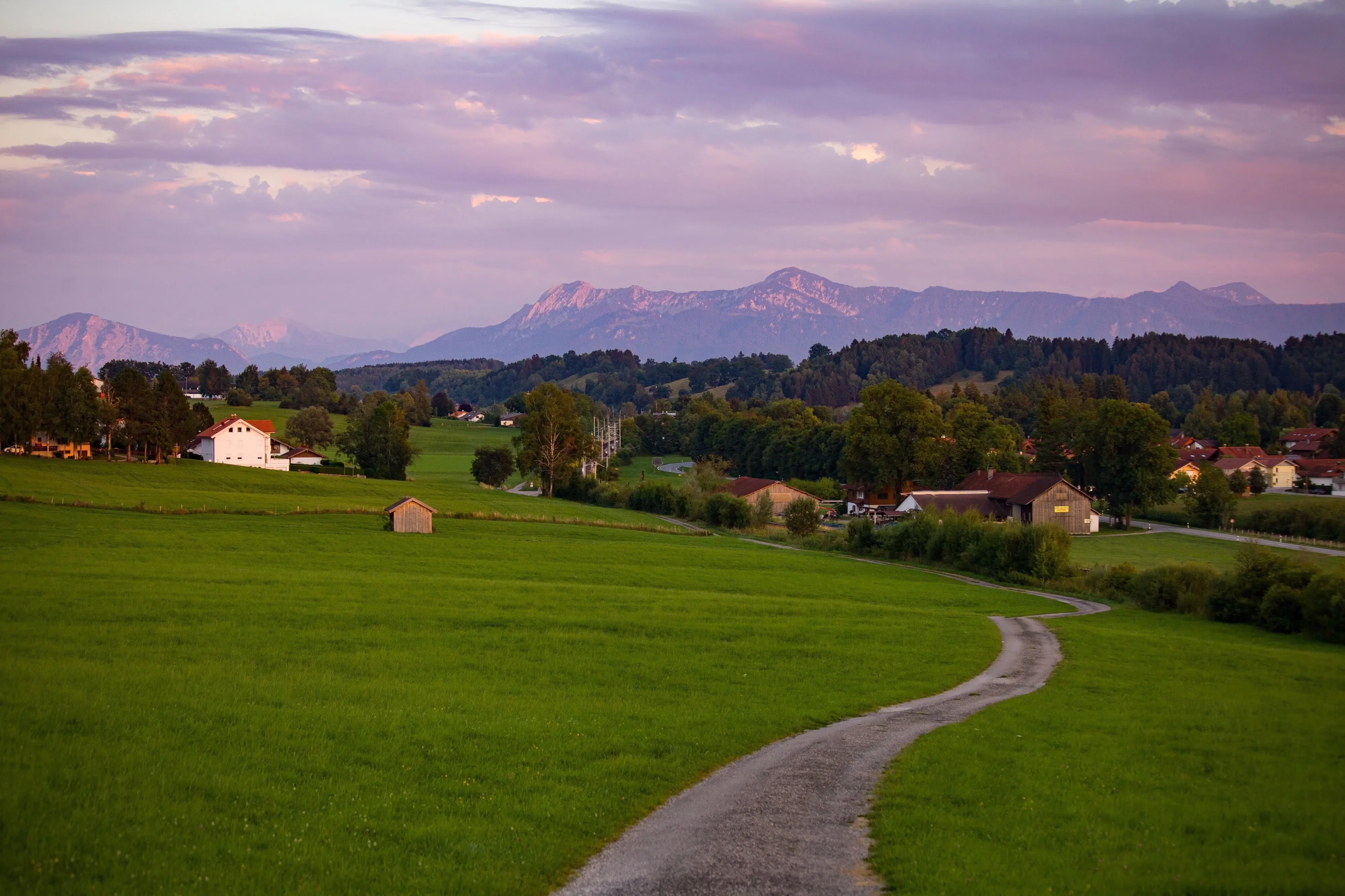 A winding path cut through a vibrant green field in a rural landscape. In the backdrop, traditional houses and barns are nestled among trees, with the Bavarian Alps under the twilight sky.