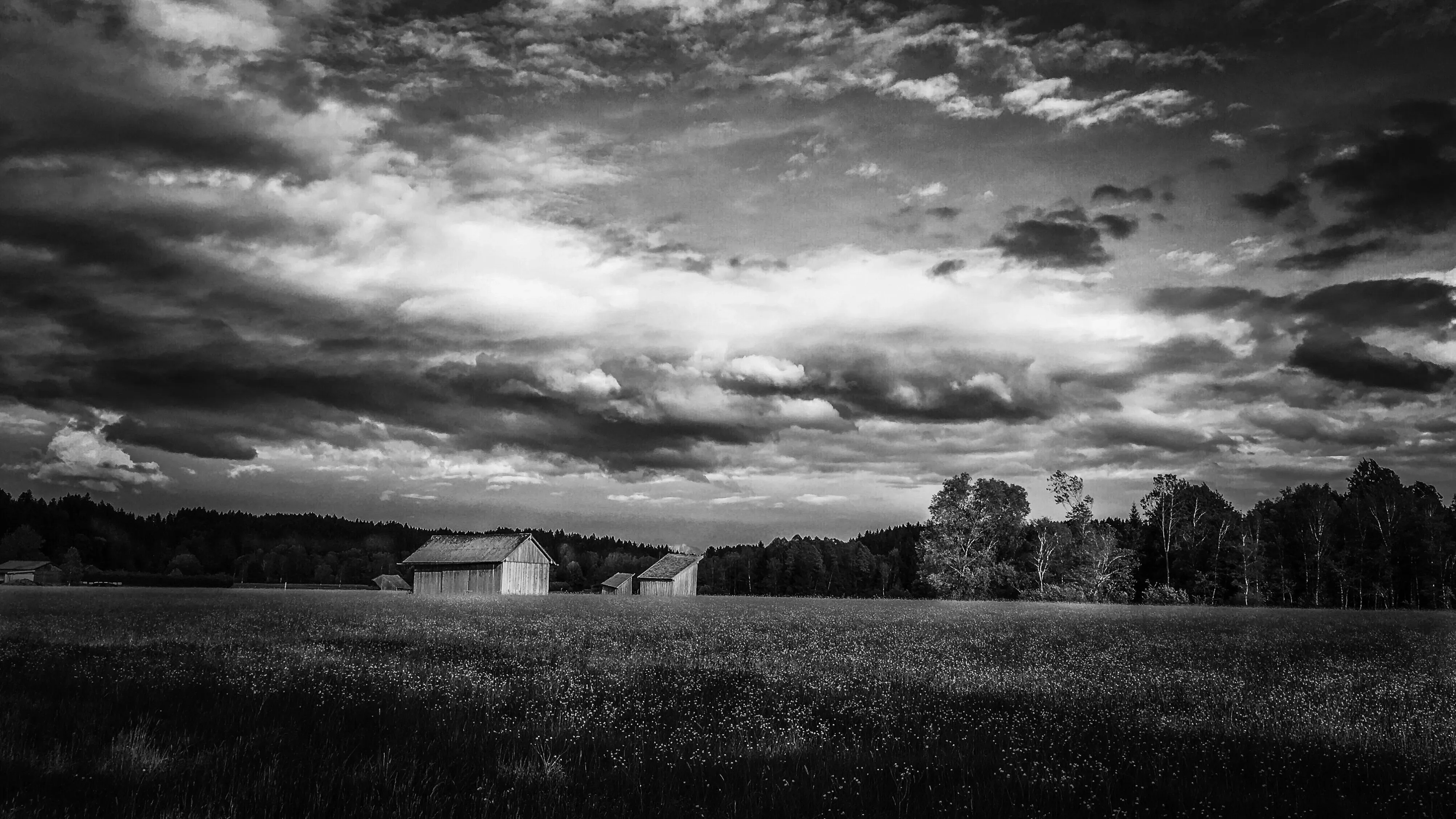 ## The Bluesky Post

The sky is holding its breath, heavy and vast,
While the quiet fields whisper secrets of the past.
A pocket of stillness before the storm wakes. ⛈️🌾

#LandscapePhotography #BlackAndWhite #FineArt #MoodyGrams

---

## ALT Text Description

**Image Description:** A dramatic, high-contrast black and white landscape photograph under a vast, stormy sky.

The upper two-thirds of the frame are dominated by a massive expanse of textured, churning clouds, with bright highlights breaking through dark, heavy storm fronts.

Below the sky, a wide, dark meadow filled with wild grass stretches across the foreground. In the mid-ground, a few rustic wooden barns and sheds stand isolated in the open field. Behind the structures, a dense, dark line of trees forms a horizon line, separating the field from the powerful sky above. The overall mood is somber, rural, and atmospheric.